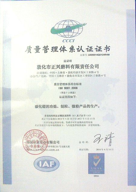 ISO9001(Chinese)