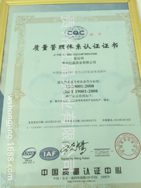 ISO9001(Chinese)