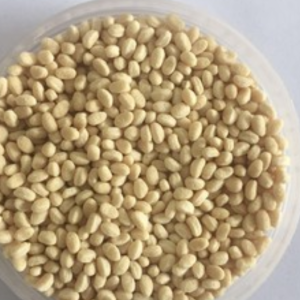 Soybean Granule Protein