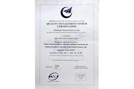 ISO9001(English)