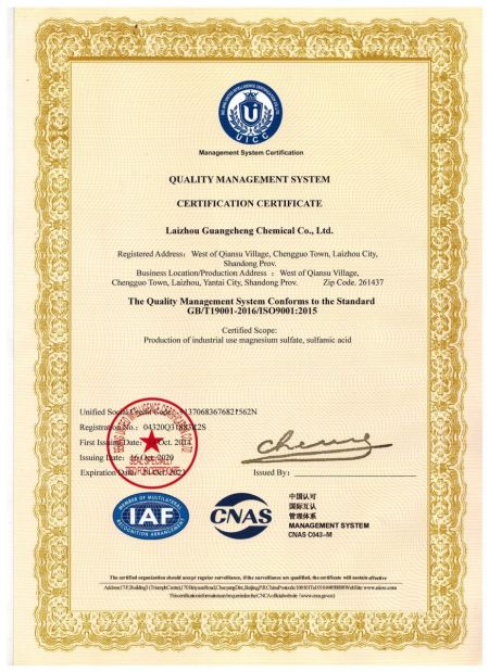 ISO9001(English)