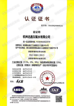 ISO9001(Chinese)