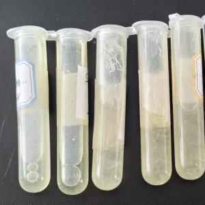 DIBENZYLDITHIOCARBAMIC ACID SODIUM SALT,Carbamodithioic acid, bis(phenylmethyl)-, sodium salt,bis(phenylmethyl)-carbamodithioicacisodiumsalt,SBEC-15