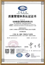 ISO9001(Chinese)