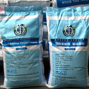 Choline Chloride Silica