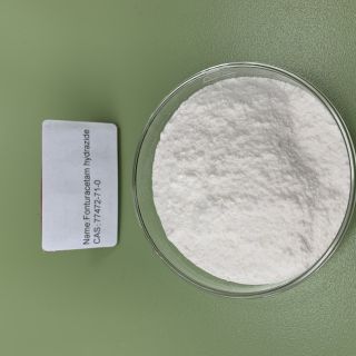 Fonturacetam hydrazide 77472-71-0