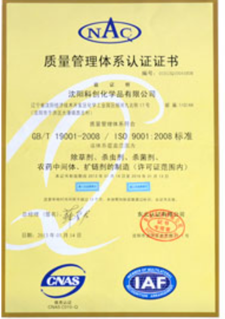 ISO9001(Chinese)