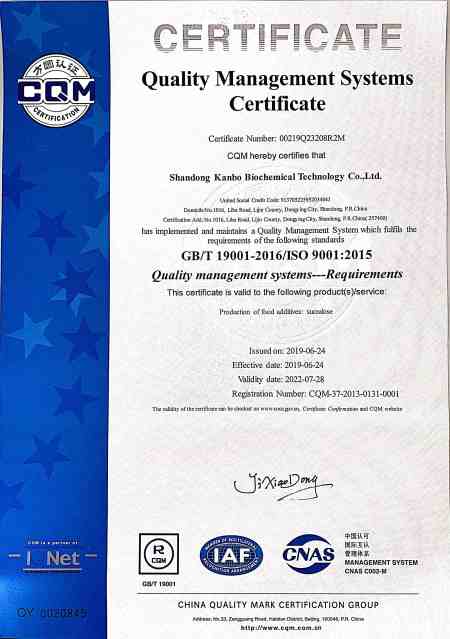 ISO9001(English)