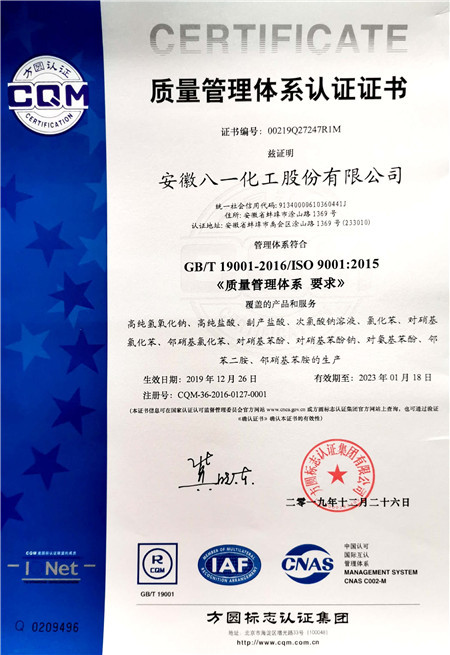 ISO9001(Chinese)