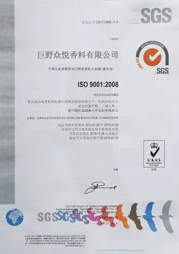 ISO9001(Chinese)