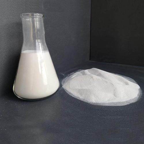 Cefalolin Intermediate