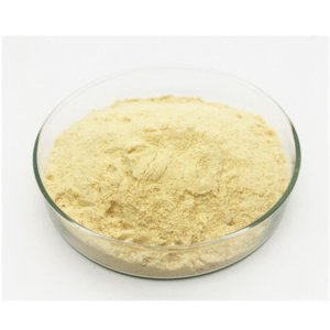 3,3'-Dichlorobiphenyl-4,4'-Diamine Dihydrochloride