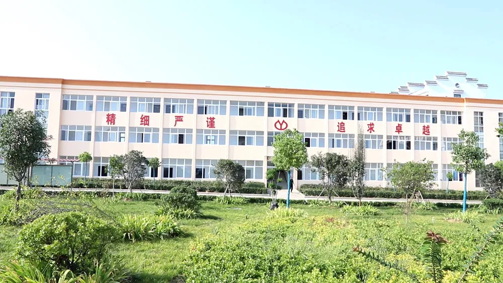 Factory Office