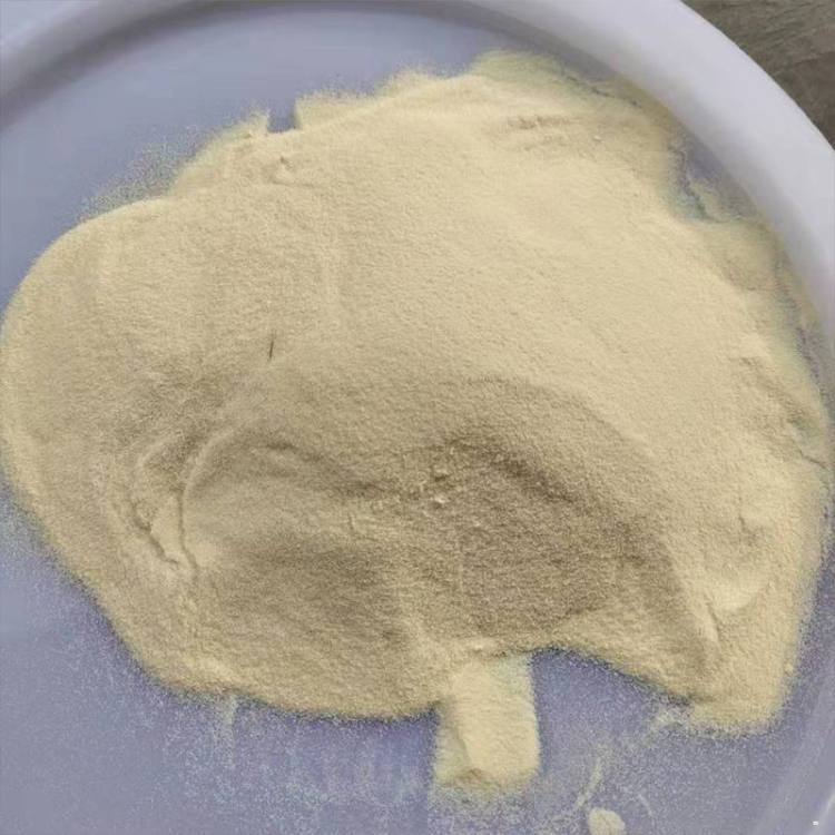 Yeast Extract Powder 