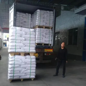 Choline Chloride Powder/CC