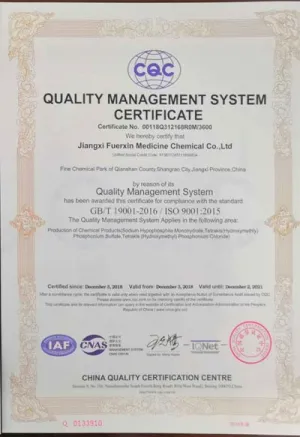 ISO9001(English)