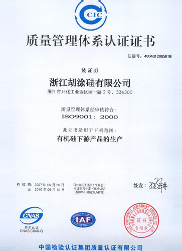 ISO9001(Chinese)