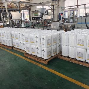 2,4-Dichlorophenoxyacetic Acid