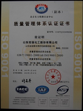 ISO9001(Chinese)