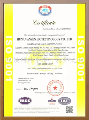 ISO9001(English)