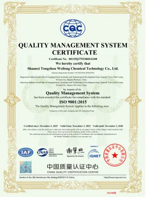 ISO9001(English)