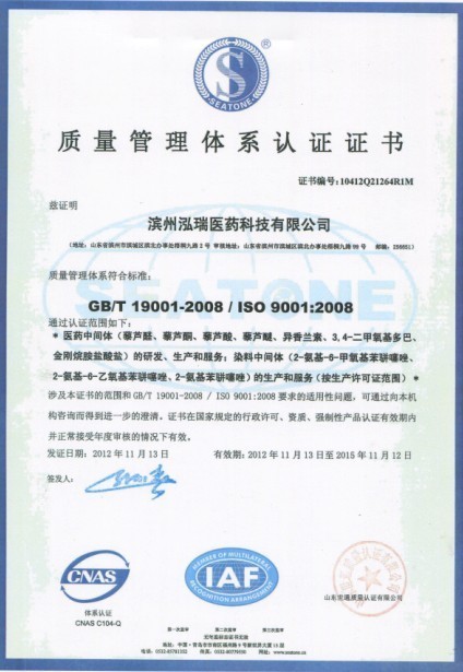 ISO9001(Chinese)