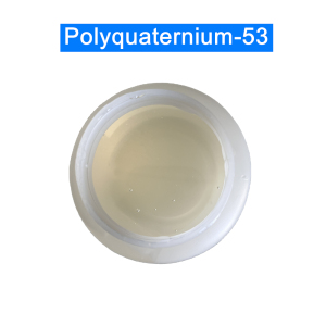 Polyquaternium-53