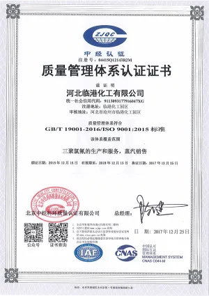 ISO9001(Chinese)