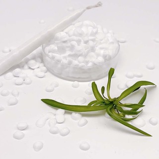 1-Octadecanol