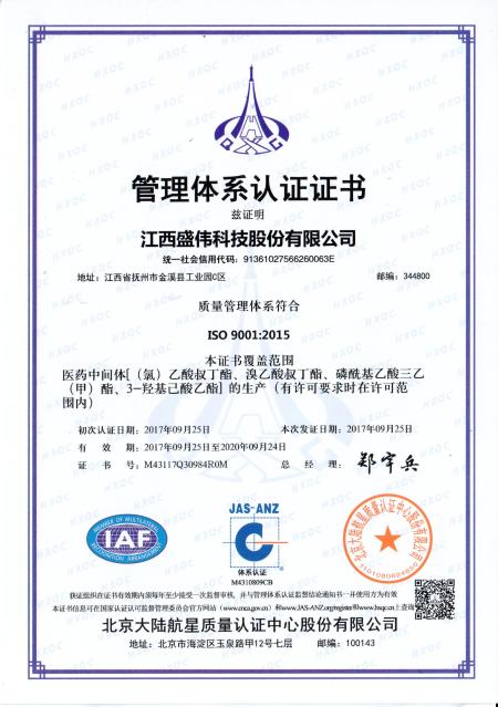 ISO9001(Chinese)