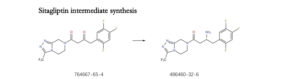 Enzyme: For Sitagliptin Intermediate