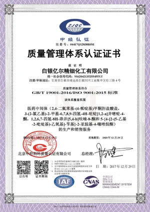 ISO9001(Chinese)