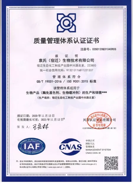 ISO9001(Chinese)