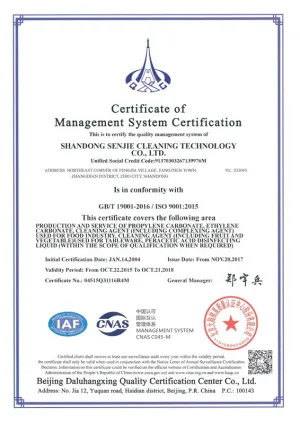 ISO9001(English)