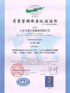 ISO9001(Chinese)