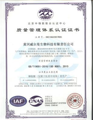 ISO9001(Chinese)