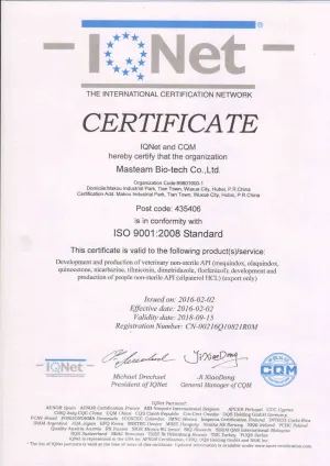 ISO9001(English)