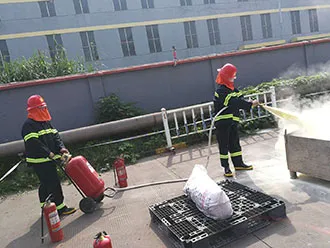 Activity