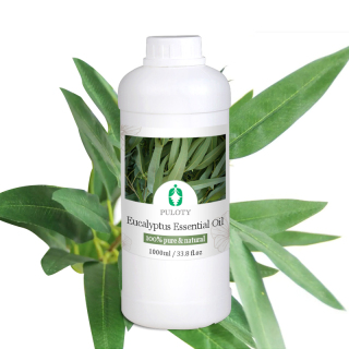 Pure Natural Eucalyptus Oil Austrilia Eucalyptus Essential Oil Cineole 80%