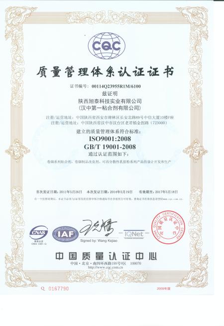 ISO9001(Chinese)