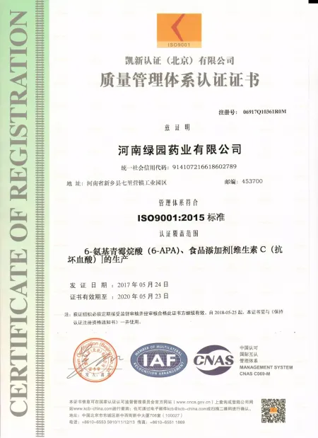 ISO9001(Chinese)