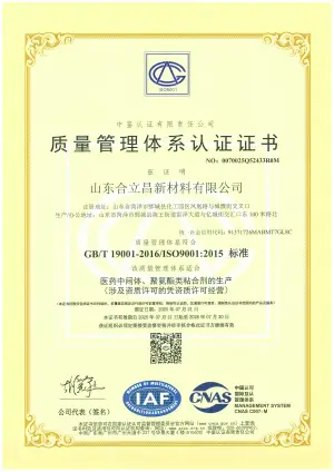 ISO9001(Chinese)