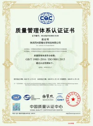 ISO9001(Chinese)