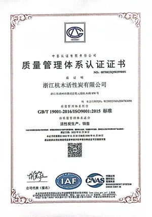 ISO9001(Chinese)