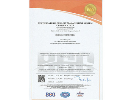 ISO9001(English)