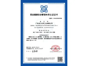 ISO45001