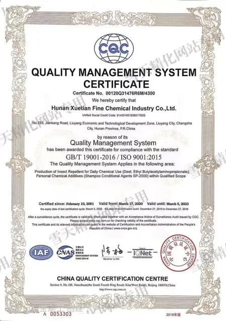 ISO9001(English)