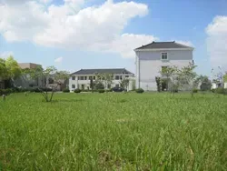 Factory Office