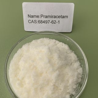 Pramiracetam CAS 68497-62-1