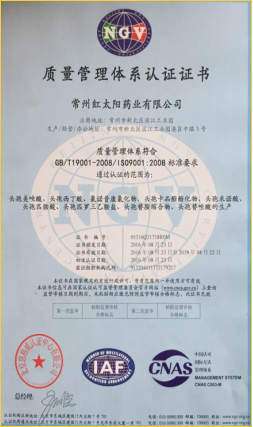 ISO9001(Chinese)
